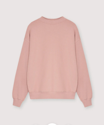 Alternative view of The new society sudadera lola rose
