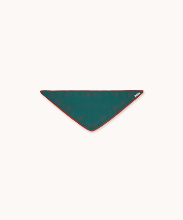 Alternative view of Tiny big sisters roses bandana