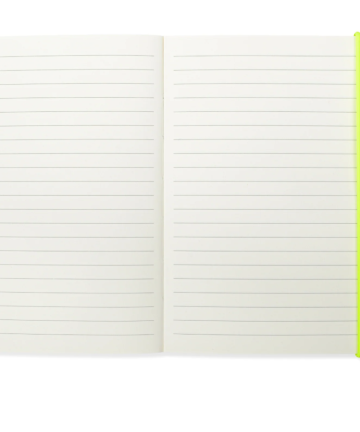 Alternative view of Paddywax cuaderno main character energy
